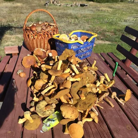 別荘 Duzy Dom Dla 16 Osob *