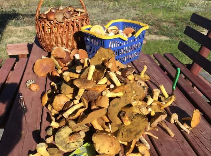 Semesterbostad Duzy Dom Dla 16 Osob *